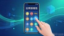 比特派Bitpie钱包用户到底想要什么?需求分析与调整方案