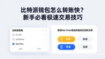 比特派钱包怎么转账快?新手必看极速交易技巧