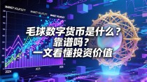 毛球数字货币是什么?靠谱吗?一文看懂投资价值