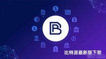 比特派最新版下载 服务平台与市场前景解析